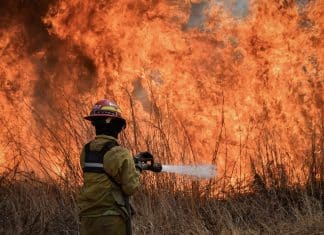 Incendios forestales devastan el 60% de los bosques en Bolivia Incendios forestales en Bolivia alcanzaron bosques, pastizales e incluso áreas protegidas.