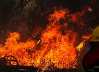 Incendios forestales arrasan con más de 10 mil hectáreas de bosques en Bolivia Aún se registran incendios activos en 21 municipios de Bolivia.