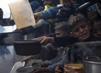 ONU condena ley israelí que impide la atención a palestinos en Gaza Comisario general de la UNRWA, Philippe Lazzarini señaló que Israel priva “a más de 650 mil niñas y niños” de sus derechos educativos.