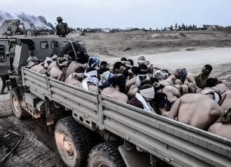 Prisioneros de tierra de olivos y tomillo