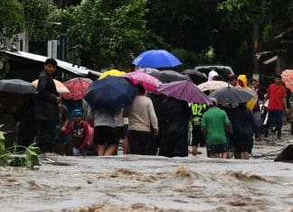 Belice se prepara para el impacto de la tormenta tropical Sara Sara avanza hacia Belice con lluvias torrenciales y riesgo de desastres.