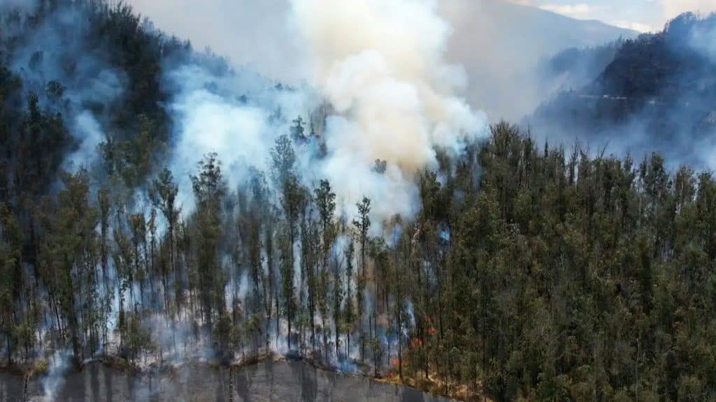 Incendios forestales en Ecuador han arrasado con más de 10 mil hectáreas.