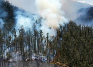 Ecuador declara estado de emergencia por incendios forestales y sequía Incendios forestales en Ecuador han arrasado con más de 10 mil hectáreas.