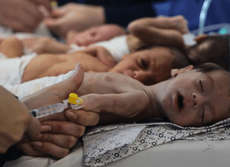 Israel elimina espacios de atención para bebés palestinos recién nacidos La destrucción de centros de cuidados intensivos neonatales en Gaza por parte del régimen de Israel resultó en asesinatos de recién nacidos.