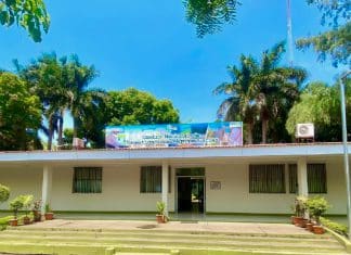 Nicaragua lidera producción de plantas in vitro en Centroamérica