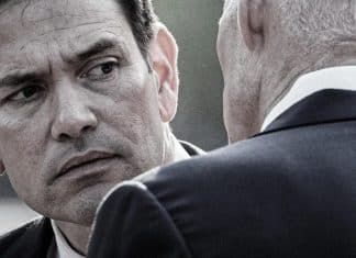 Rubio, un gusano en la Casa Blanca