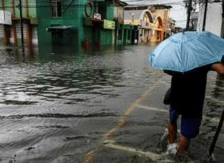 Sara cobra su primera víctima y deja miles de afectados en Honduras Honduras enfrenta el impacto de 'Sara' con más de 47,000 personas afectadas.