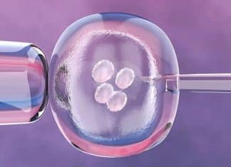 Terapia experimental elimina tumores cerebrales incurables y restaura funciones neurológicas