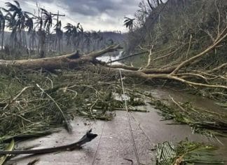 Tifón Man-yi se aleja de Filipinas tras causar estragos Supertifón "Man-yi" azota Catanduanes sin dejar víctimas mortales.