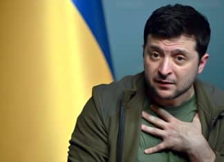 Zelenski dispuesto a devolver territorio a Rusia Territorios liberados por el Ejército de Rusia, serían cedidos mediante un “alto al fuego”