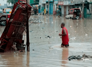 Desastre en Haití: Inundaciones causan estragos Los daños materiales son cuantiosos, con 501 casas destruidas, según reportes oficiales.