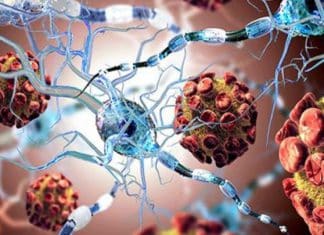 Científicos descubren sustancia con propiedades antienvejecimiento Descubren propiedades benéficas de la rapamicina, para retardar el envejecimiento.