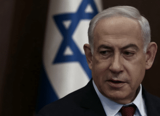 Netanyahu se ausentará de evento en Polonia por temor a ser arrestado Netanyahu evitará el aniversario de Auschwitz por riesgo de arresto.