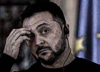 Zelensky rechaza un “alto el fuego” en Navidad Primer ministro de Hungría asegura que Zelensky rechaza propuesta de Budapest, “para un alto el fuego”.