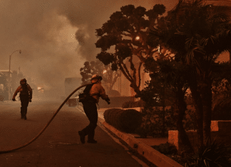 Así quedaron Los Ángeles tras devastadores incendios La empresa Maxar Technologies difundió imágenes satelitales del área devastada por los incendios forestales en Los Ángeles, California.