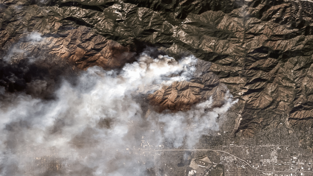 La actividad humana y el impacto del cambio climático, que agrava las sequías y extiende las temporadas de incendios.