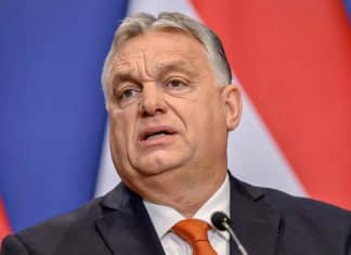 Hungría vetaría sanciones contra Rusia en la Unión Europea Hungría cuantifica en miles de millones sus pérdidas por las sanciones impuesta a Rusia desde Occidente.