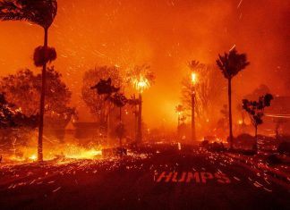 Incendio forestal obliga a evacuar a más de 30 mil personas en Los Ángeles Adultos mayores de centros especializados en su atención, son evacuados debido a la rápida propagación del fuego.
