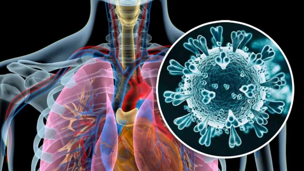 Metapneumovirus humano (HMPV) es detectado en tres infantes en la India.