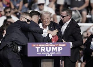 Las venas obstruidas del modelo estadounidense Las venas obstruidas del modelo estadounidense