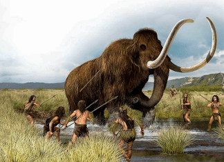 Nuevos hallazgos cuestionan la teoría de la extinción de los mamíferos prehistóricos Artefactos hallados en Brasil sugieren una convivencia de miles de años entre humanos y animales prehistóricos.