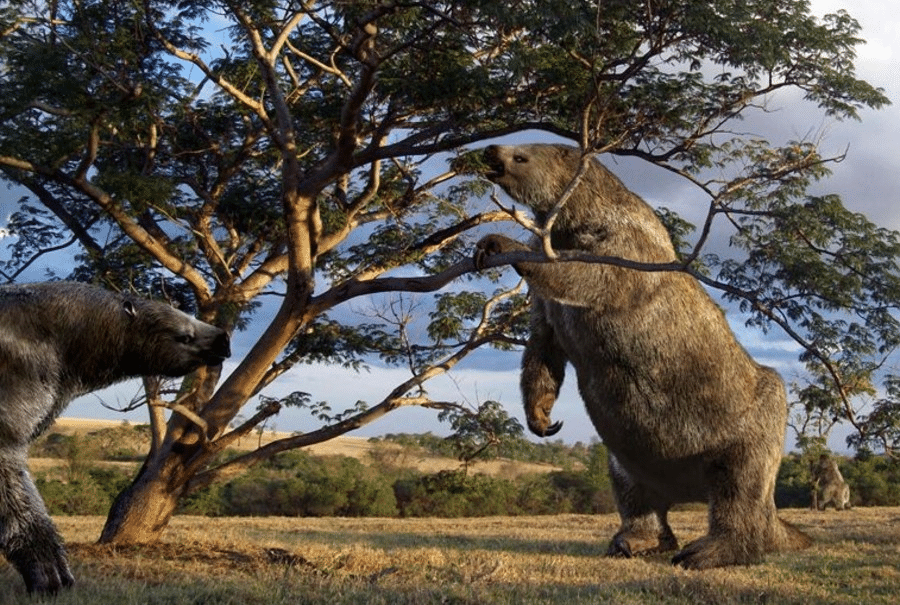 Perezosos del tamaño de un elefante