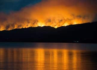 La Patagonia se encuentra envuelta en llamas Cinco incendios activos arrasan con la Patagonia, en Argentina.