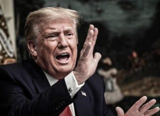 Trump: Zelenski no es importante para las conversaciones sobre Ucrania Trump excluye a Zelenski de las negociaciones de paz.