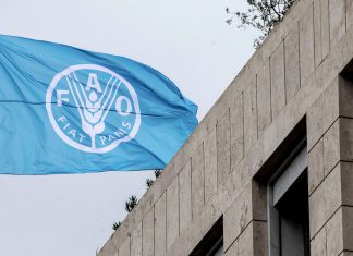 Nicaragua se retira de la FAO por difundir información falsa sobre el país