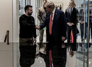 Zelenski entregaría recursos naturales de Ucrania a EEUU