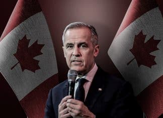 Canadá responderá con medidas de «máximo impacto» a aranceles de EEUU Canadá pretende reestructurar su economía para no depender de sus relaciones comerciales con EEUU.