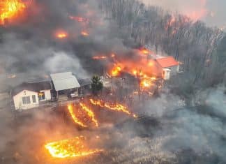 Corea del Sur enfrenta los peores incendios forestales de su historia Los devastadores incendios forestales han dejado 24 personas fallecidas en la región sureste de Corea del Sur