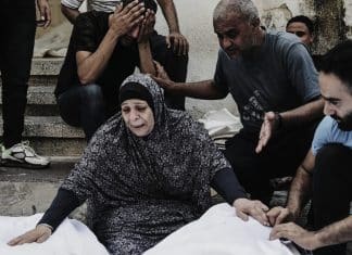 Gaza supera los 50,000 muertos desde el inicio del conflicto El Ministerio de Salud de Gaza, registra más de 50,000 muertos desde el comienzo del conflicto.