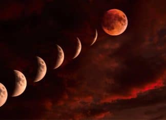 Luna de gusano se fusionará con eclipse de Luna en marzo Sombra de la Tierra generada por eclipse de Luna, cubrirá de forma total la llamada ‘luna de gusano’ en el mes de marzo.