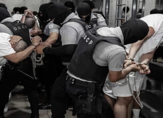 Venezuela: Ningún venezolano enviado al CECOT era del ‘Tren de Aragua’ Nayib Bukele en El Salvador, secuestró a venezolanos sin conexiones con ‘El Tren de Aragua’, denunció Venezuela.