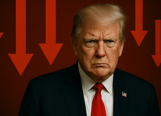 China advierte que aranceles de EEUU podrían provocar una crisis humanitaria Durante una videoconferencia con la directora de la OMC, el ministro Wang Wentao advirtió que las medidas de EE.UU. afectan gravemente al mundo en desarrollo.