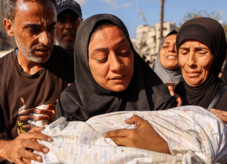 Israel asesina a más de 19,000 niños en Gaza Movimiento de Resistencia Islámica de Palestina (HAMAS) denuncia la masacre de 19,000 niños en Gaza a manos de Israel.