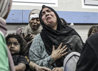 Médicos denuncian que Gaza se ha convertido en una fosa común Violencia de Israel está destruyendo vidas palestinas, incluidos los trabajadores humanitarios.