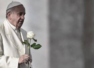 Nicaragua destaca recorrido del papa Francisco promoviendo la paz Nicaragua emite sus consideraciones por el “eterno descanso del papa Francisco”.