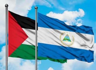 Nicaragua persistirá en la defensa del pueblo palestino ante la CIJ Nicaragua reafirma compromiso con la justicia internacional, en el contexto de la demanda sobre las agresiones a Palestina.