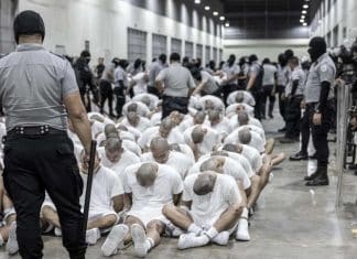 El 90% de los venezolanos deportados a El Salvador no tenían delitos Migrantes venezolanos deportados por la administración Trump hacia El Salvador, carecían de delitos graves en EEUU.