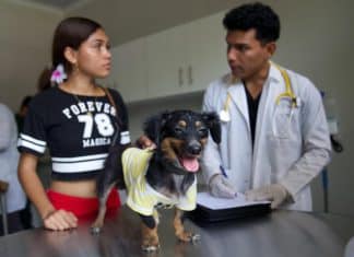 Inauguran el primer hospital veterinario público en Nicaragua El hospital veterinario de Nicaragua brindará cuidados a más de 100 animales al día.
