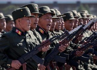 Putin agradece a Corea del Norte su apoyo en la liberación de Kursk