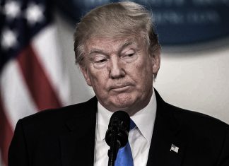 Donald Trump aparece en los archivos de Epstein, asegura Musk Legisladores estadounidenses presionan por la desclasificación total de los archivos Epstein.