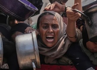 Irán insta a una intervención inmediata para detener el genocidio en Gaza Irán pide medidas urgentes frente a la catástrofe humanitaria en Gaza.