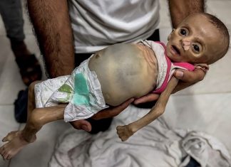 Israel quema ayuda humanitaria retenida en la frontera de Gaza Crecen las denuncias internacionales por uso del hambre como arma de guerra.