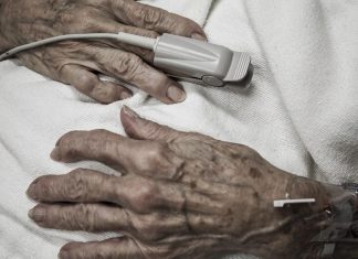 México confirma la primera muerte humana por gusano barrenador