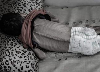 Las personas de Gaza son cadáveres andantes, asegura la ONU Israel mantiene bloqueada la entrada de ayuda humanitaria al enclave palestino