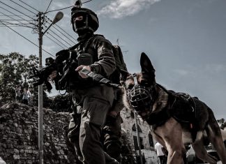 Israel ataca con perros militares a civiles palestinos