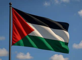 China condena sanciones de EEUU a Palestina Cancillería de China insta a Washington a nos obstaculizar la paz en Oriente Medio.